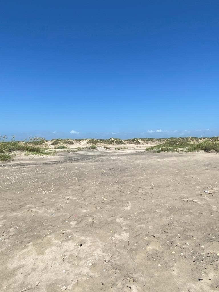 0 acres in Cameron County - photo 22