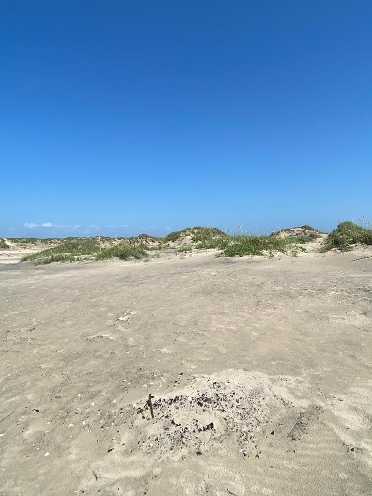 0 acres in Cameron County - photo 23