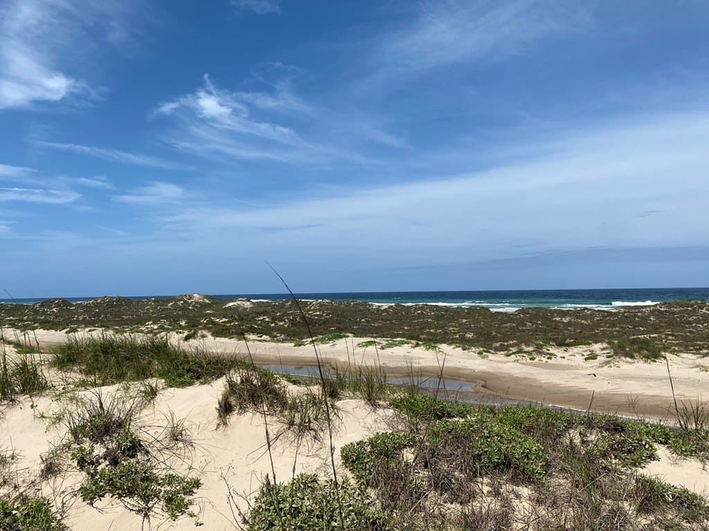 0 acres in Cameron County - photo 8