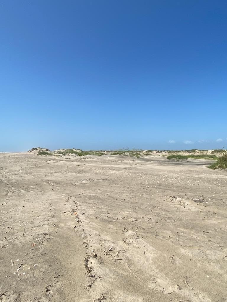 0 acres in Cameron County - photo 20