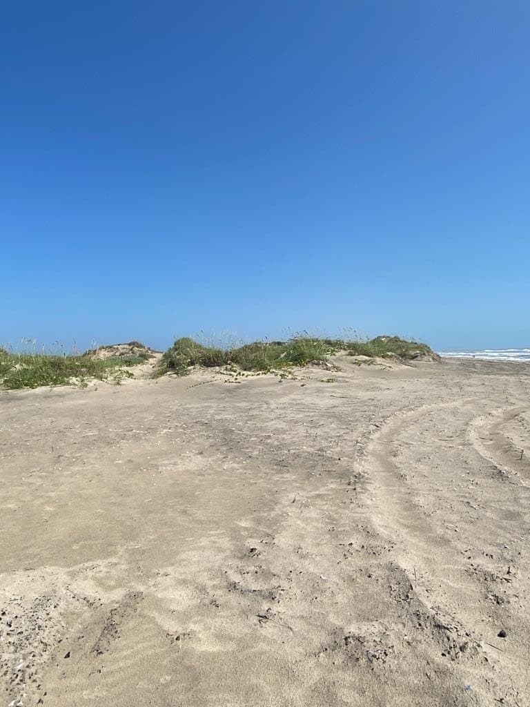 0 acres in Cameron County - photo 24