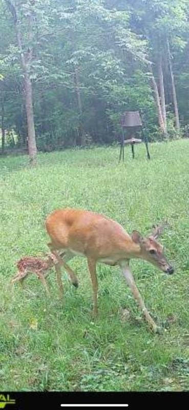 12 acres in Cherokee County - photo 39