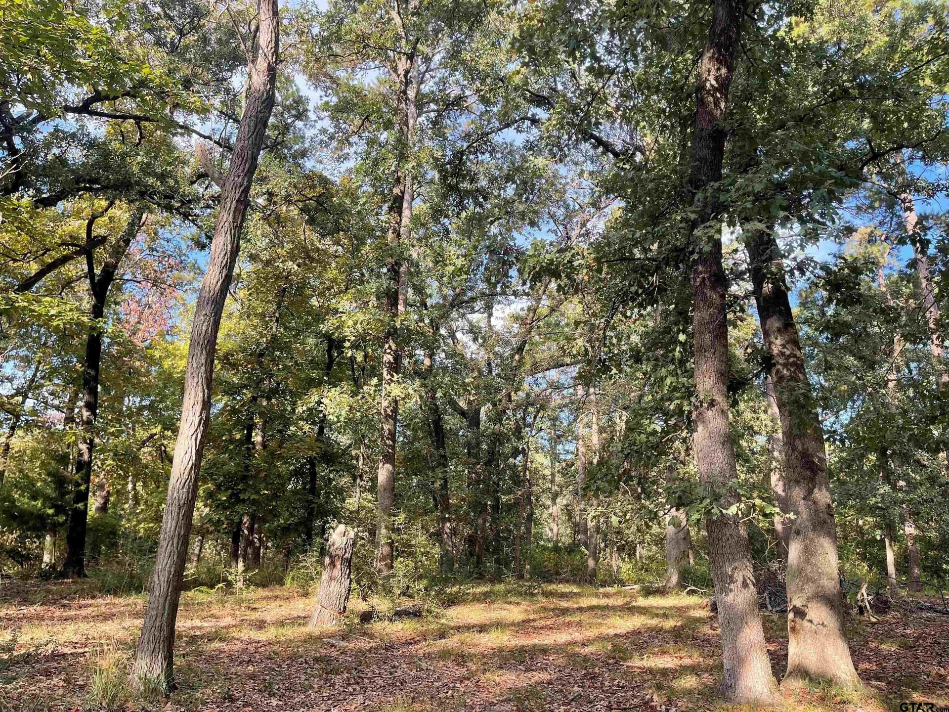 0.22 acres in Wood County - photo 6