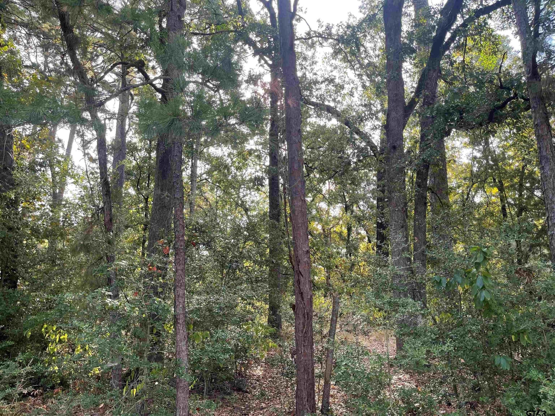 0.22 acres in Wood County - photo 8