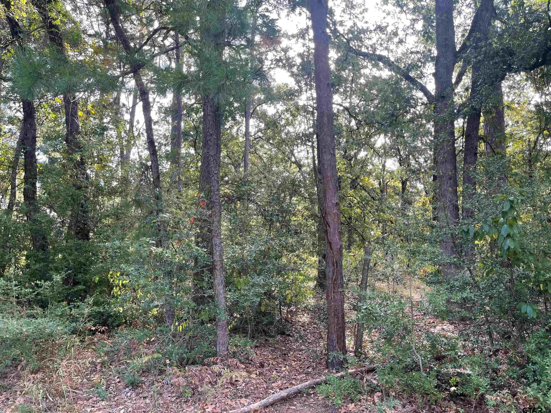 0.22 acres in Wood County - photo 9