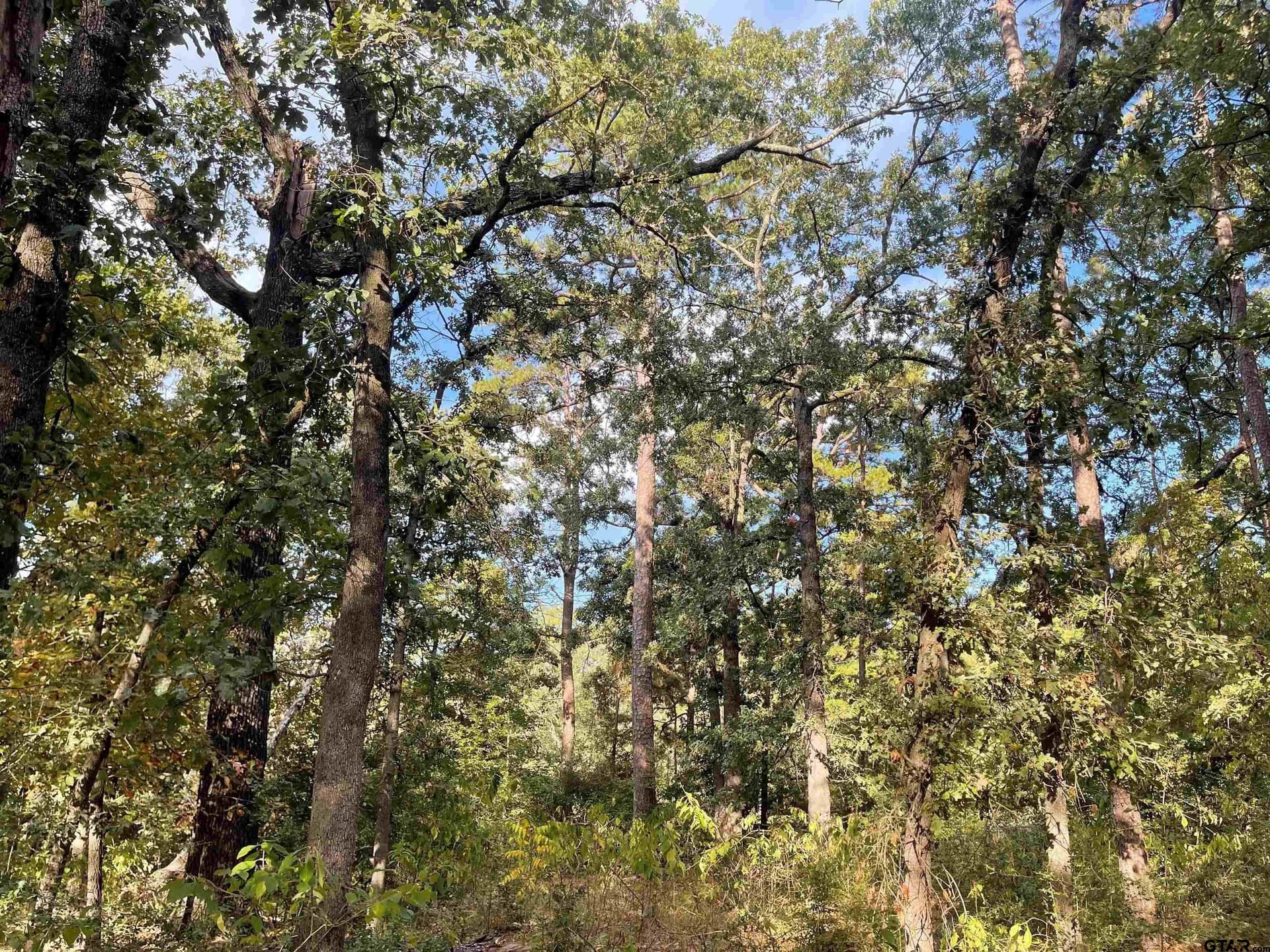 0.22 acres in Wood County - photo 4