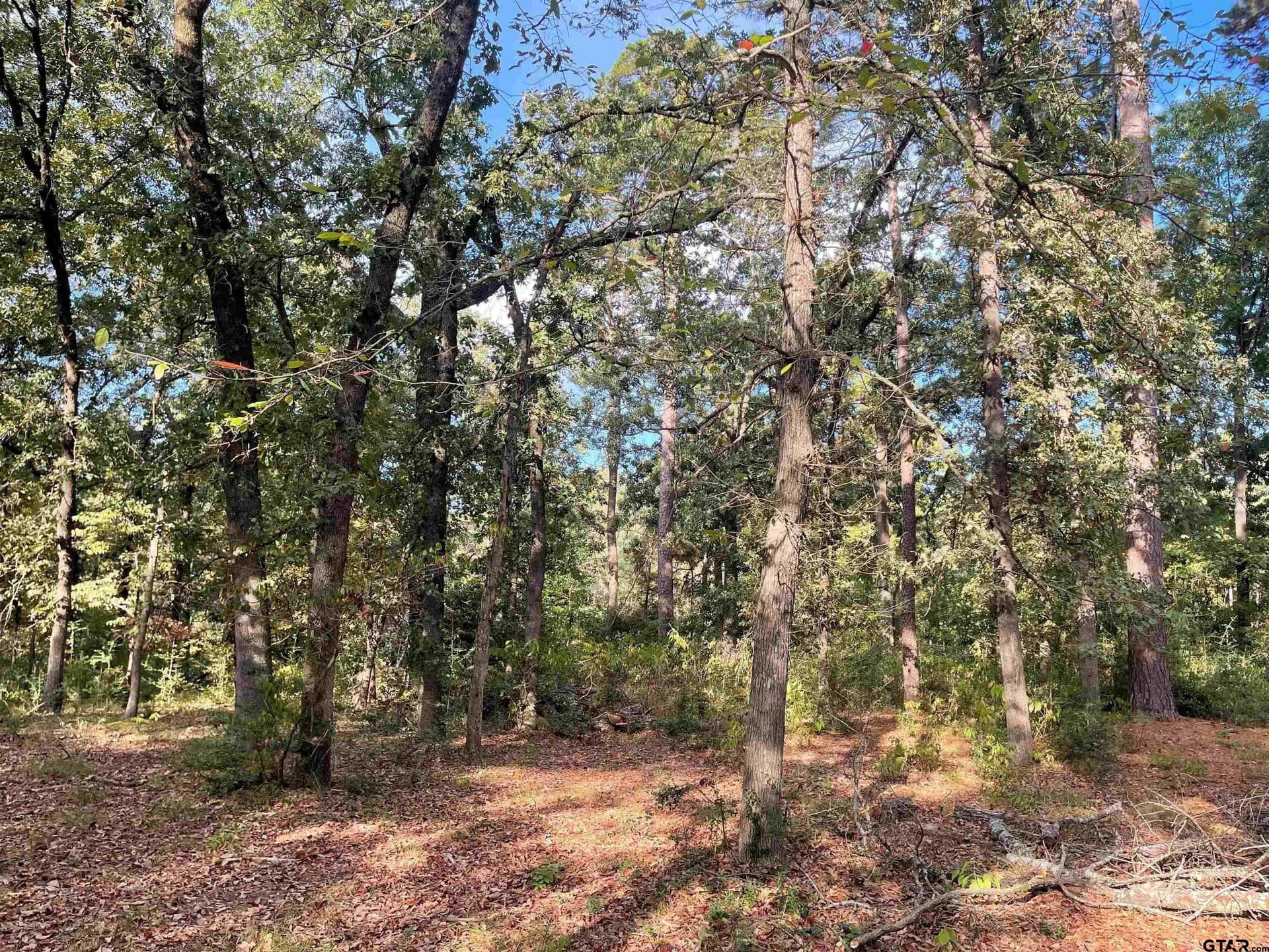 0.22 acres in Wood County - photo 3