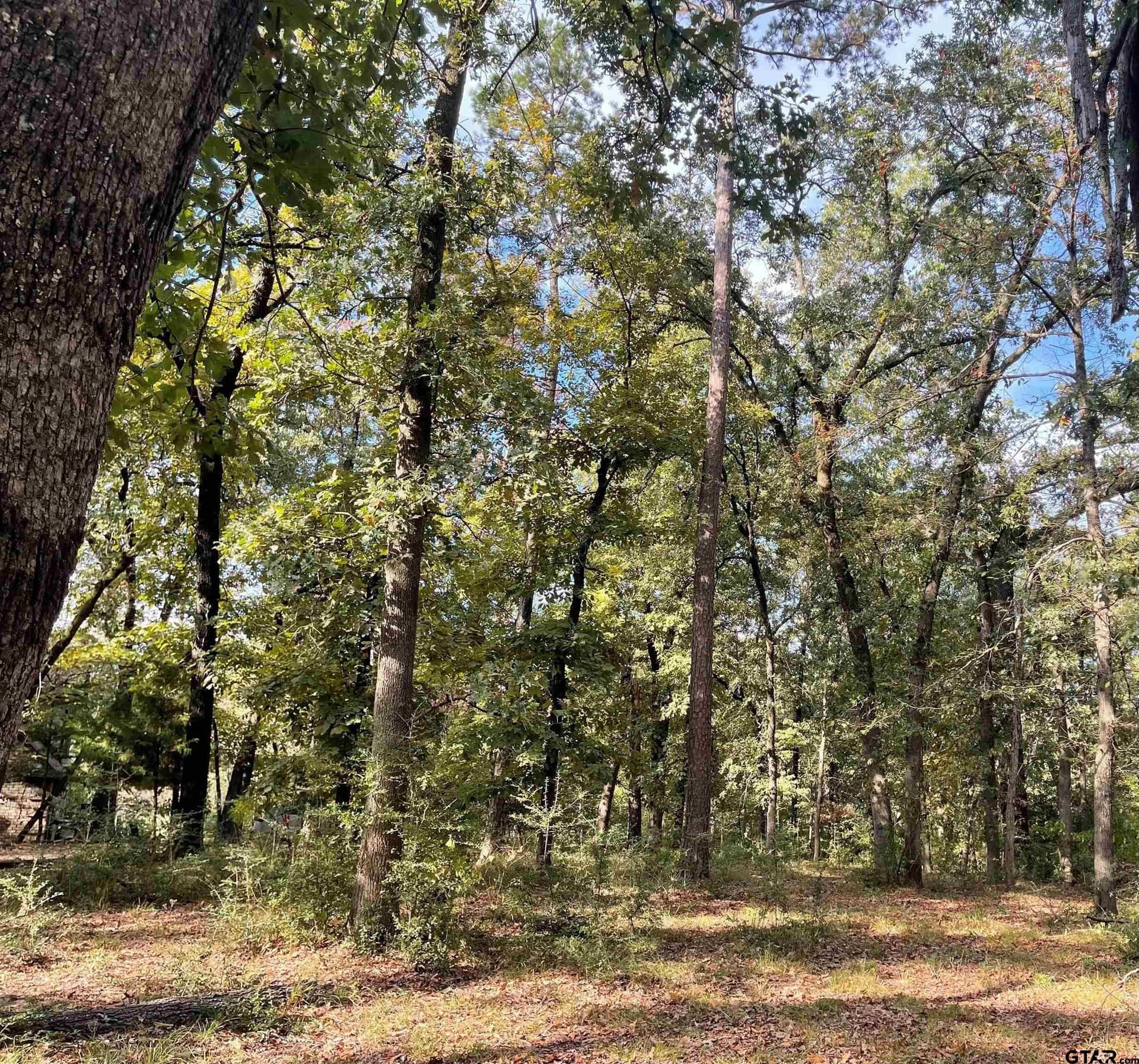 0.22 acres in Wood County - photo 7