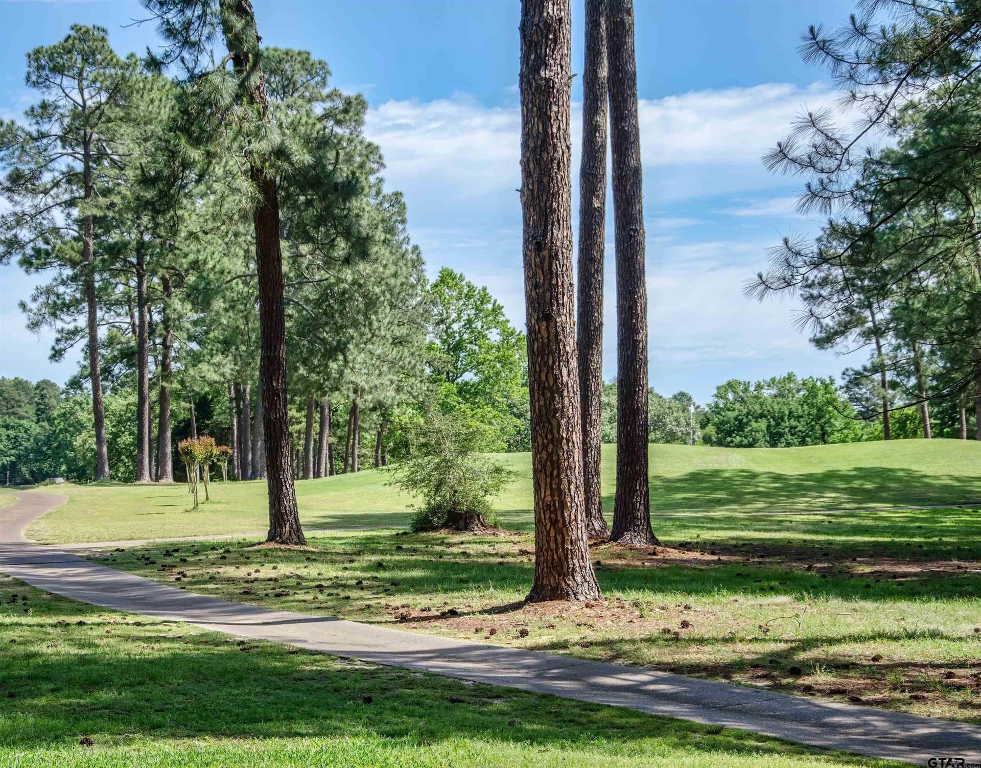 0.22 acres in Wood County - photo 14