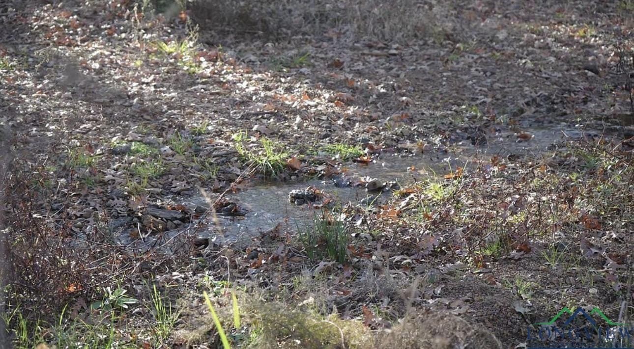 15.21 acres in Texas County - photo 12