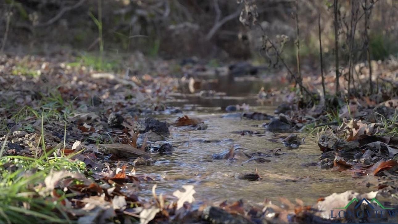 15.21 acres in Texas County - photo 13