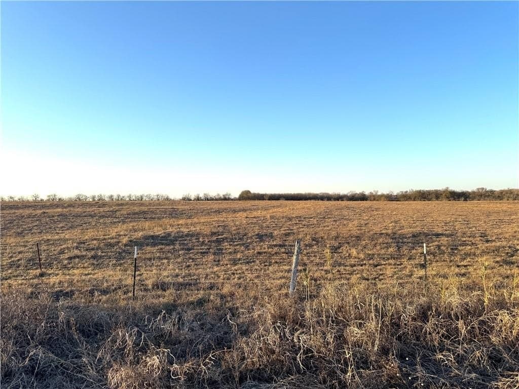 10.01 acres in Falls County - photo 7