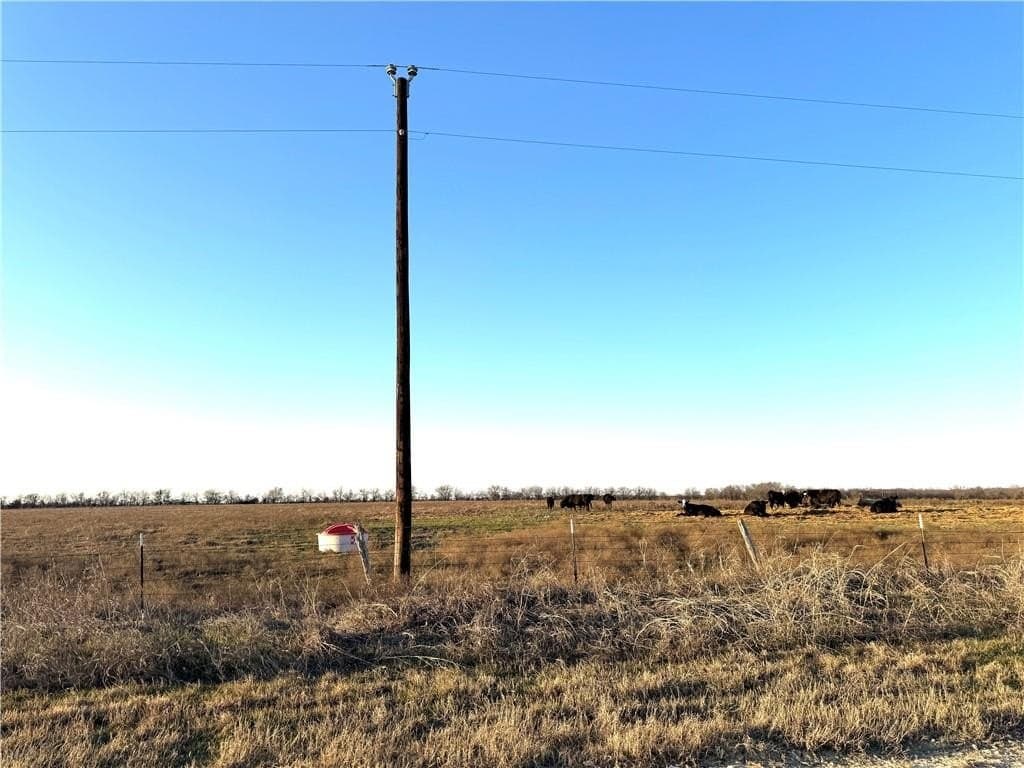 10.01 acres in Falls County - photo 5