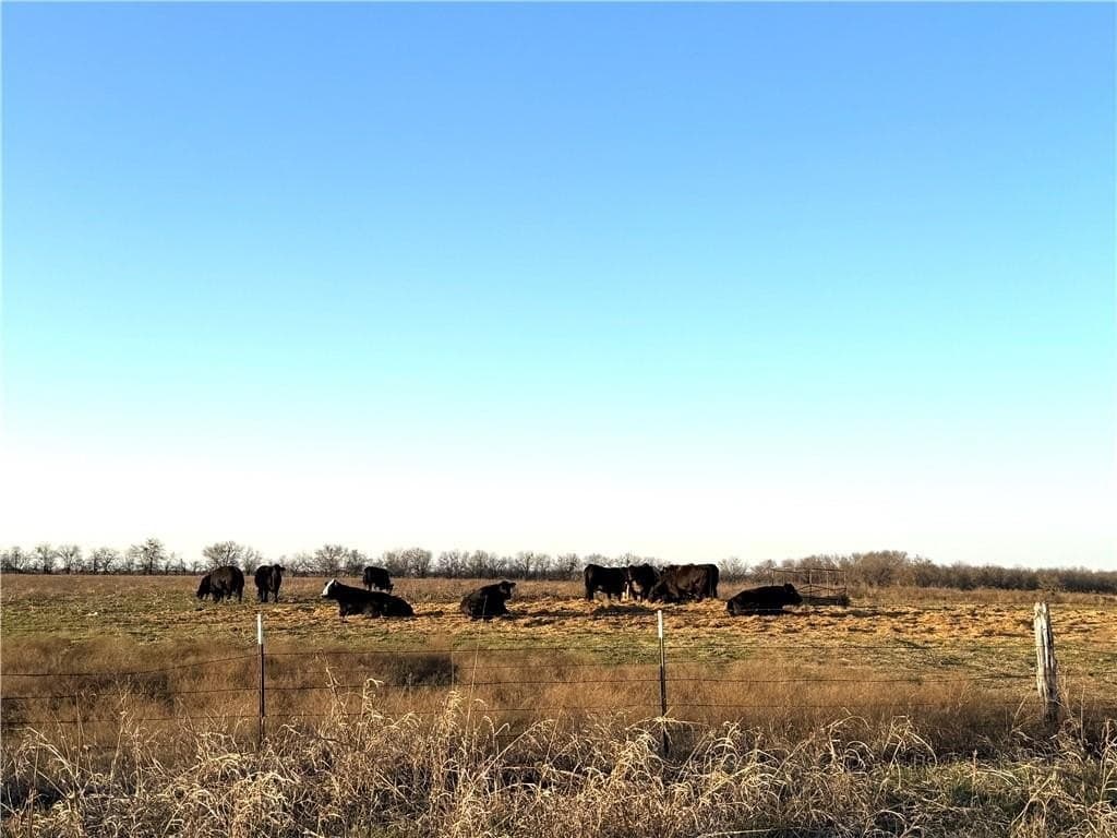 10.01 acres in Falls County - photo 4