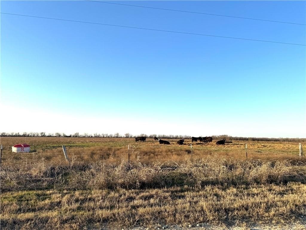 10.01 acres in Falls County - photo 3