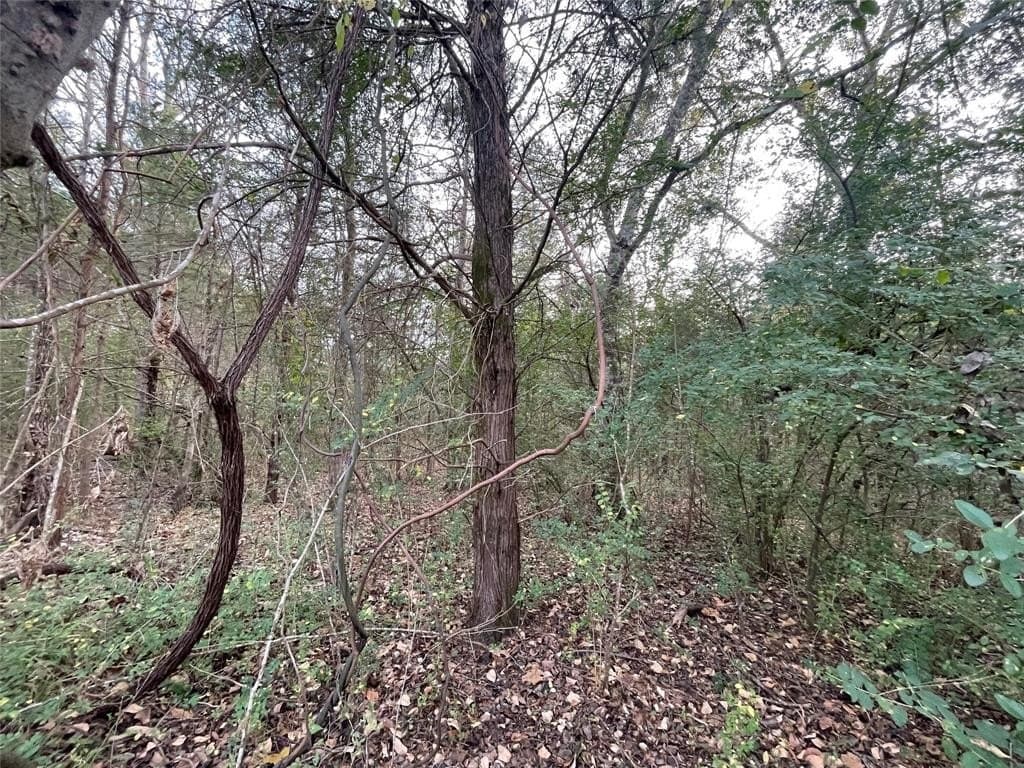 0.78 acres in Cherokee County - photo 11