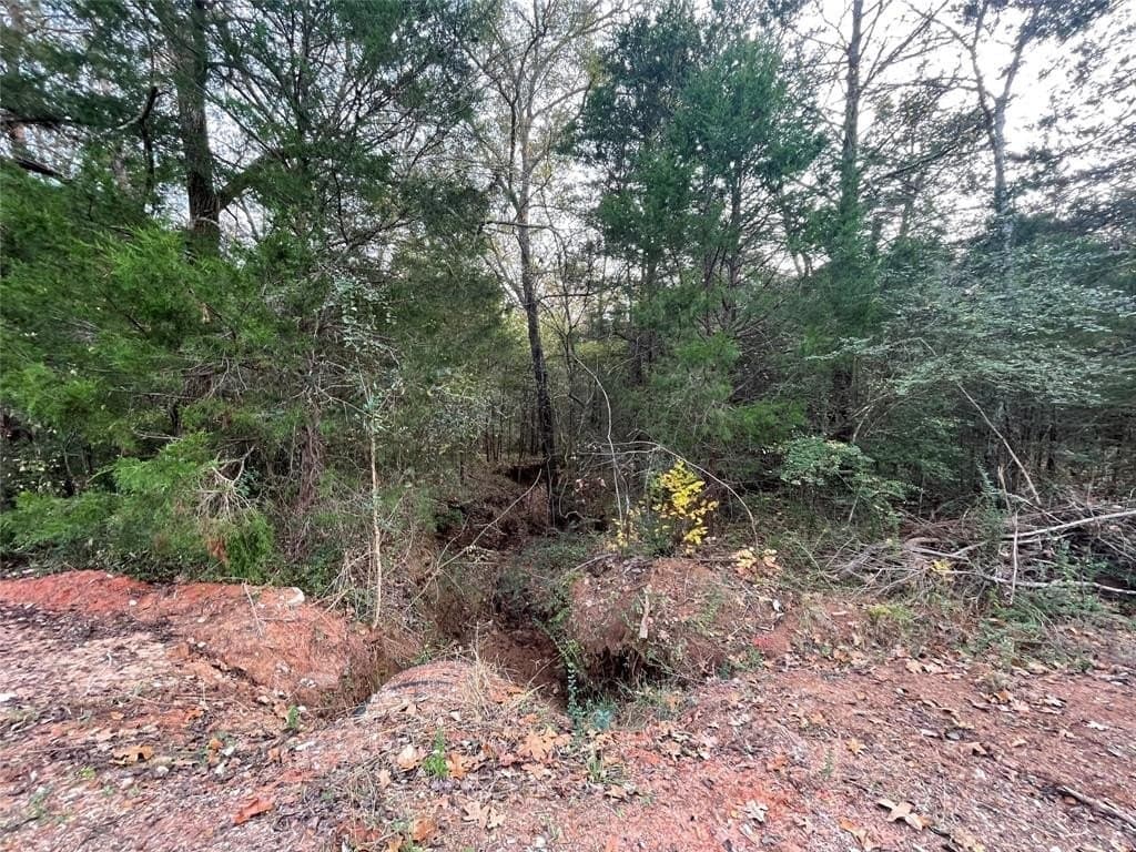 0.78 acres in Cherokee County - photo 18