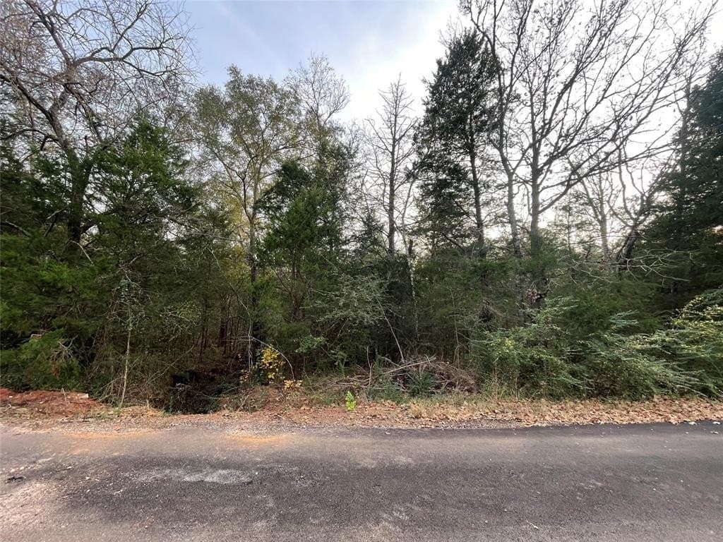 0.78 acres in Cherokee County - photo 5