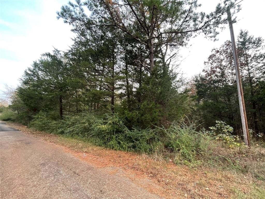 0.78 acres in Cherokee County - photo 13