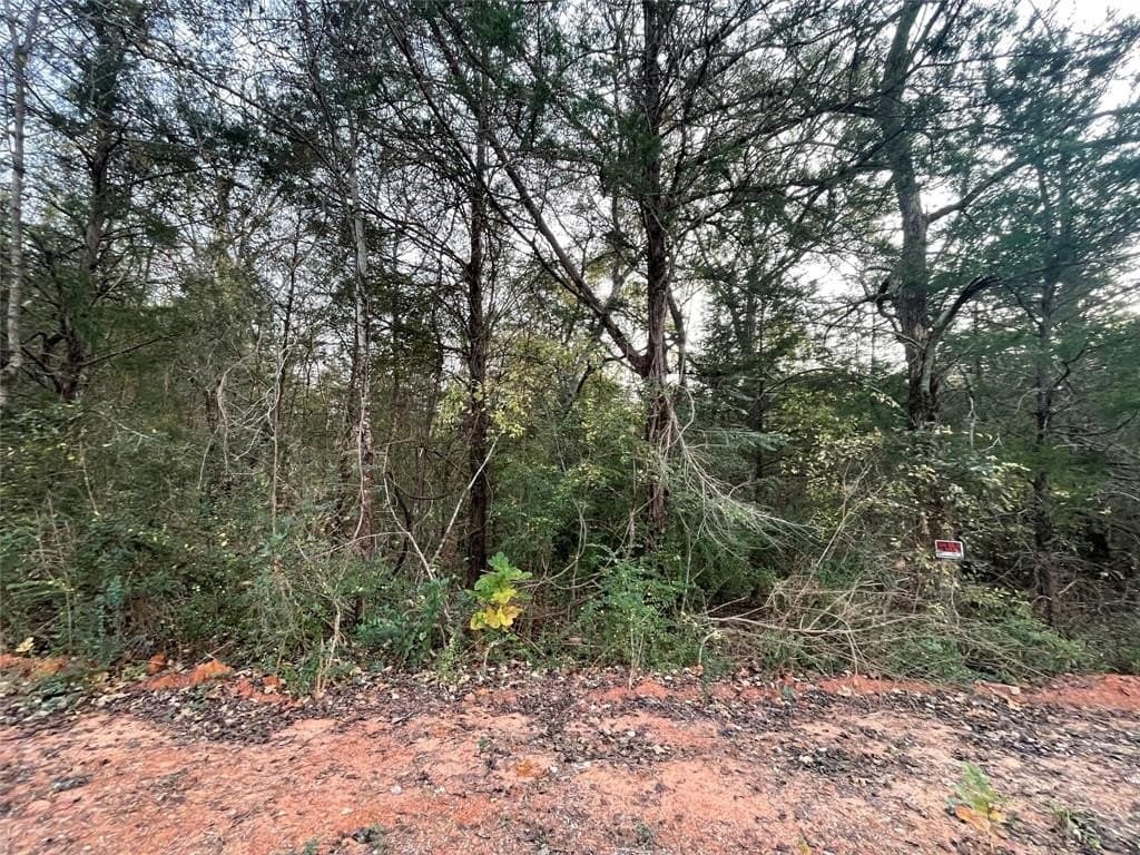 0.78 acres in Cherokee County - photo 17