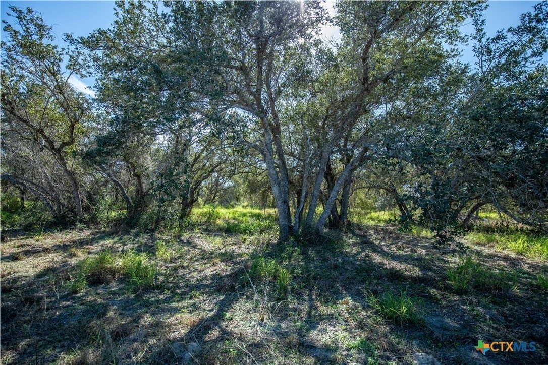 5.76 acres in Aransas County - photo 31