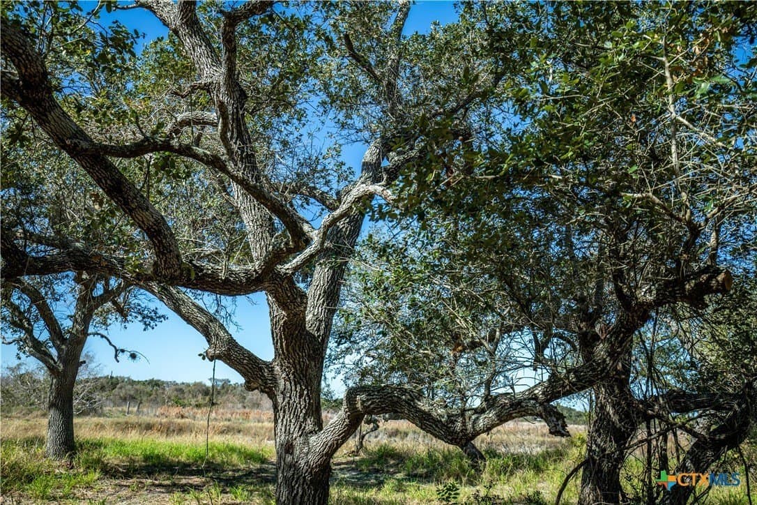 5.76 acres in Aransas County - photo 36