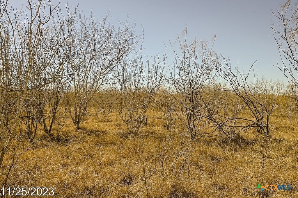 17.97 acres in Frio County - photo 9