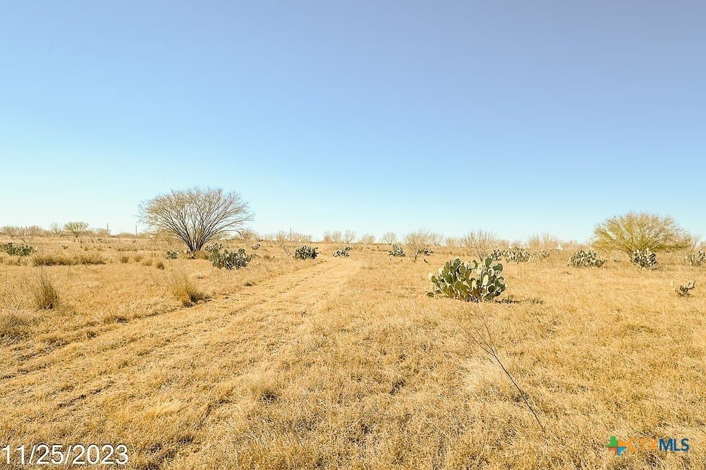 17.97 acres in Frio County - photo 13