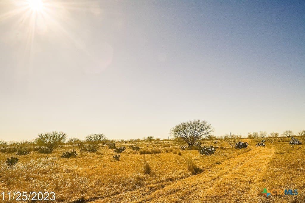17.97 acres in Frio County - photo 12
