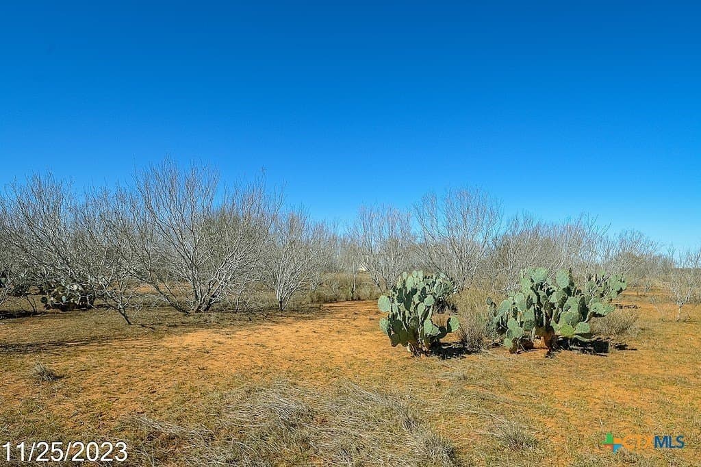 17.97 acres in Frio County - photo 14