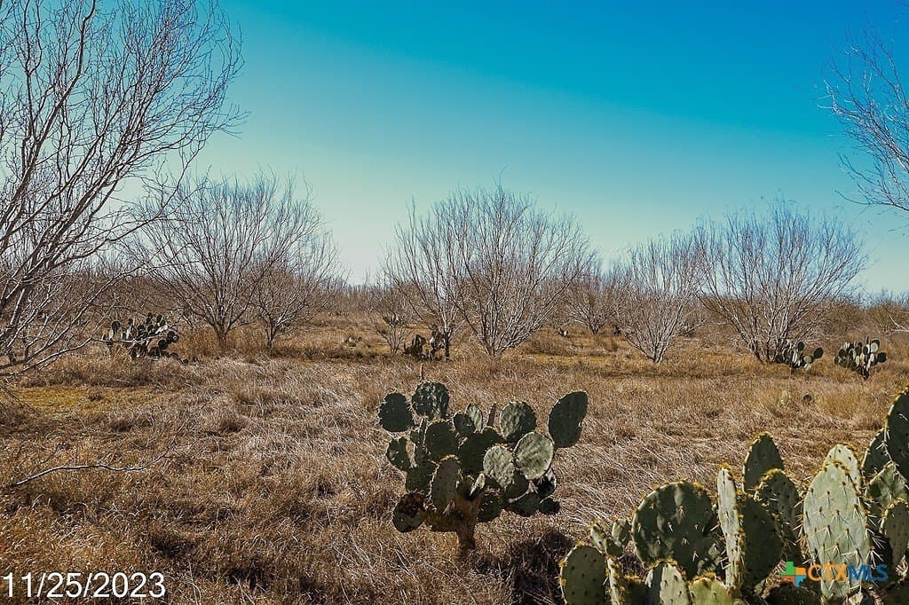 17.97 acres in Frio County - photo 10
