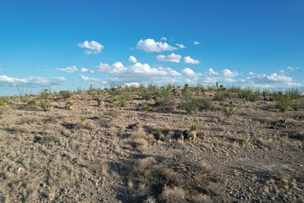 20.01 acres in Hudspeth County - photo 4