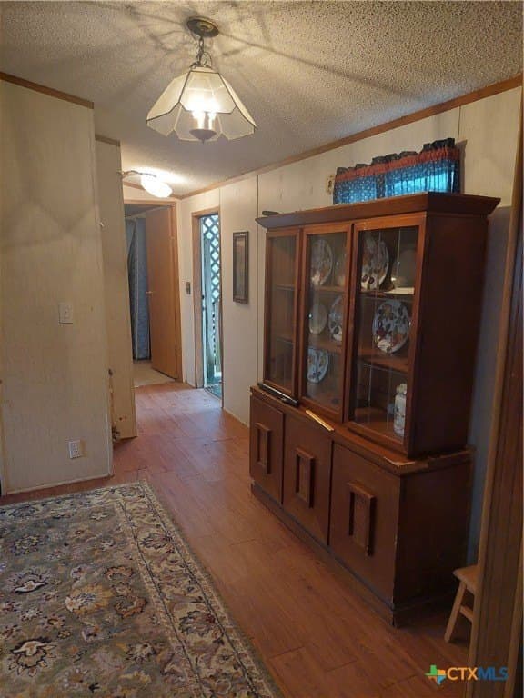 10 acres in San Patricio County - photo 4