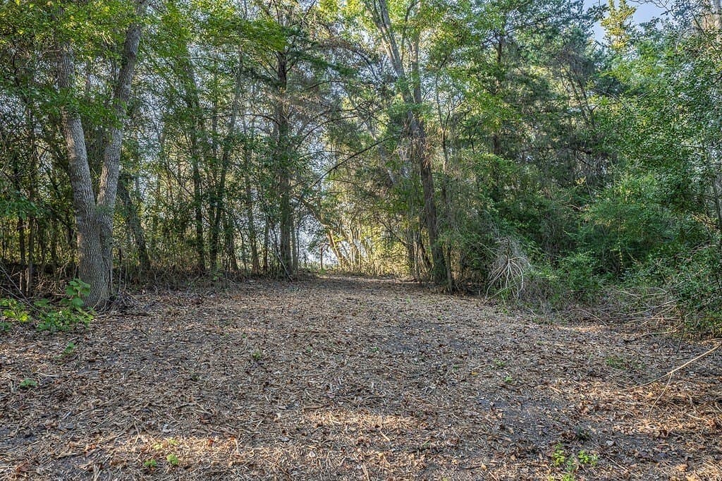4.73 acres in Fayette County - photo 5