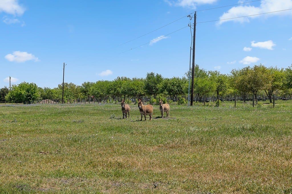 10 acres in Fayette County - photo 30
