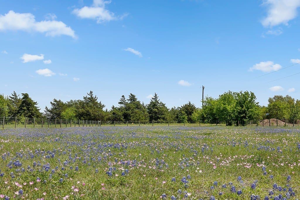 10 acres in Fayette County - photo 27