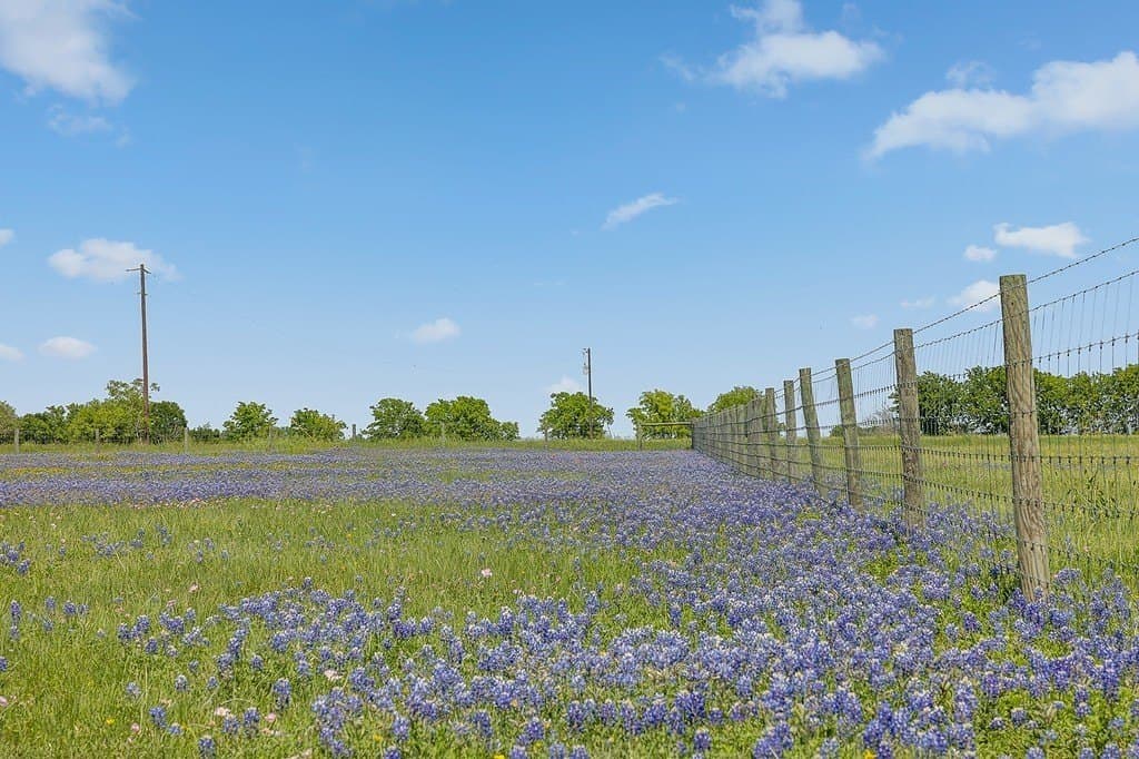 10 acres in Fayette County - photo 19