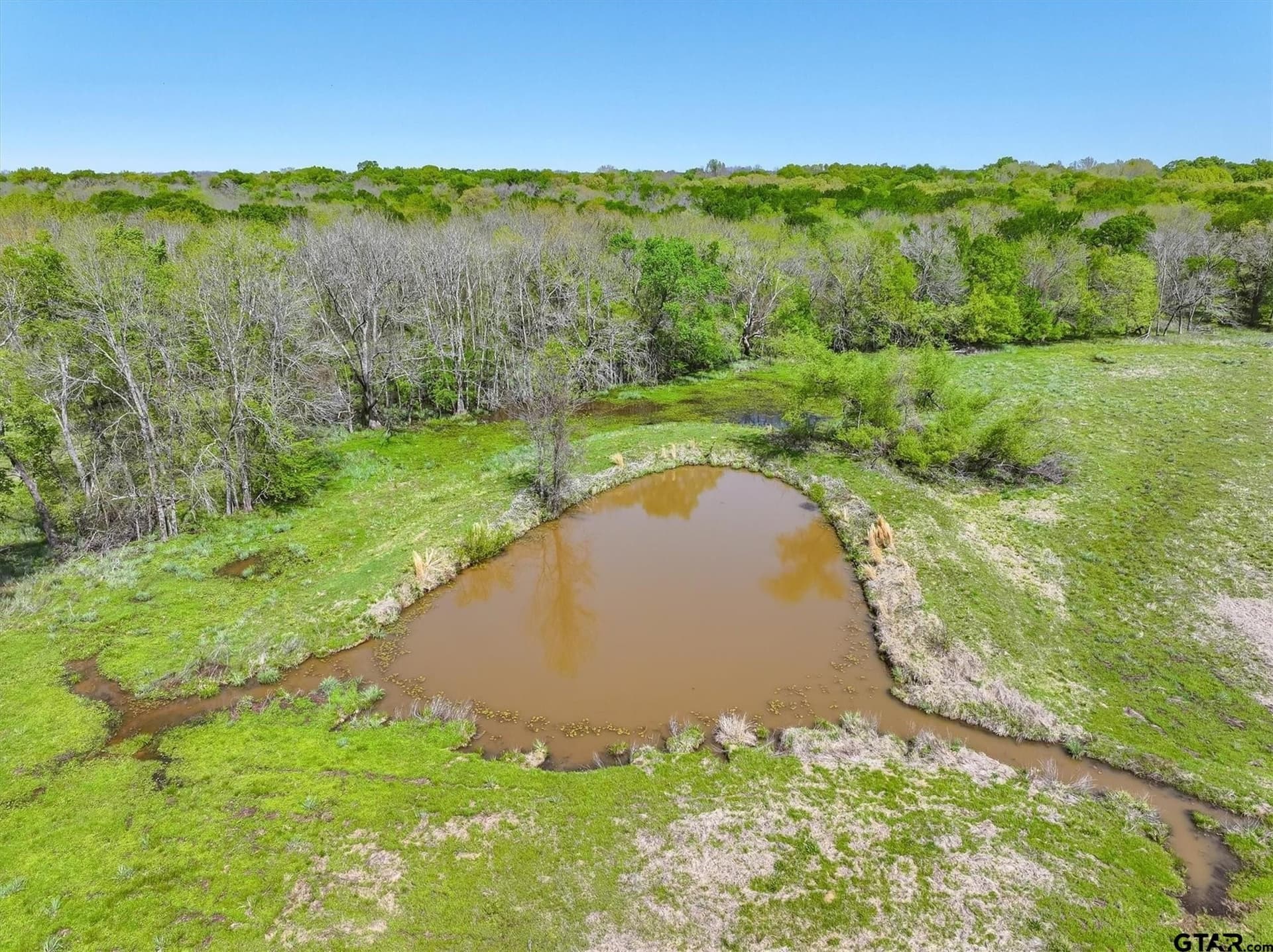 131 acres in Van Zandt County - photo 10