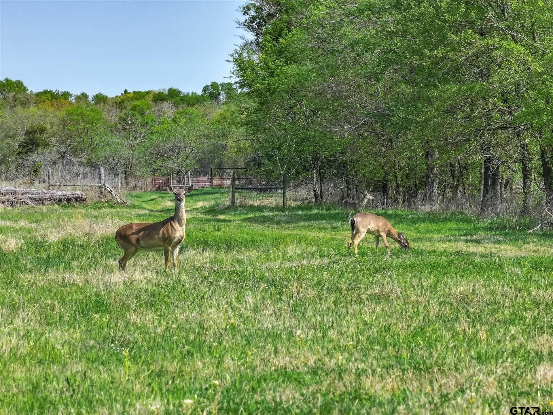 131 acres in Van Zandt County - photo 7