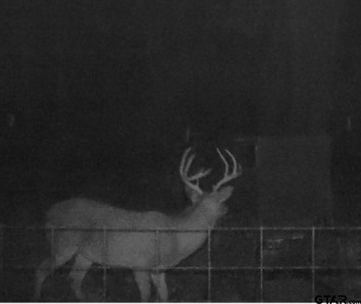 131 acres in Van Zandt County - photo 40