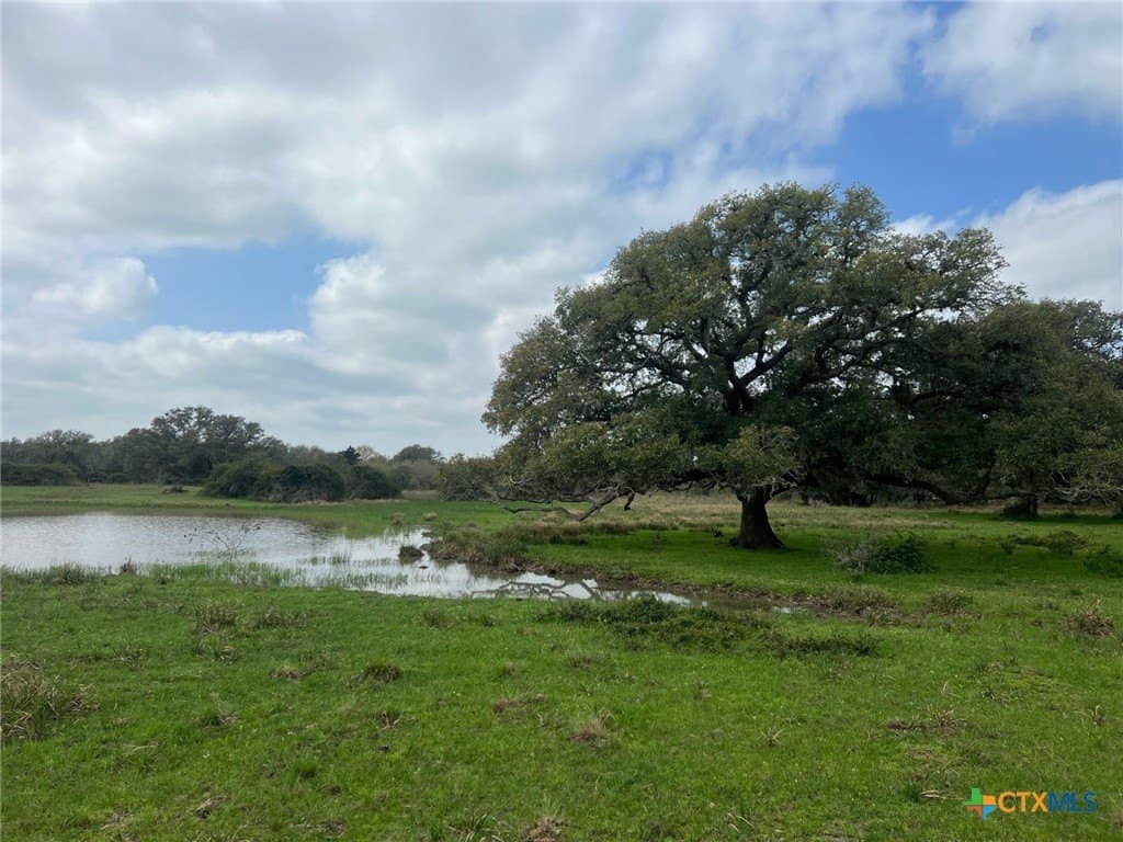 370.68 acres in Lavaca County - photo 6