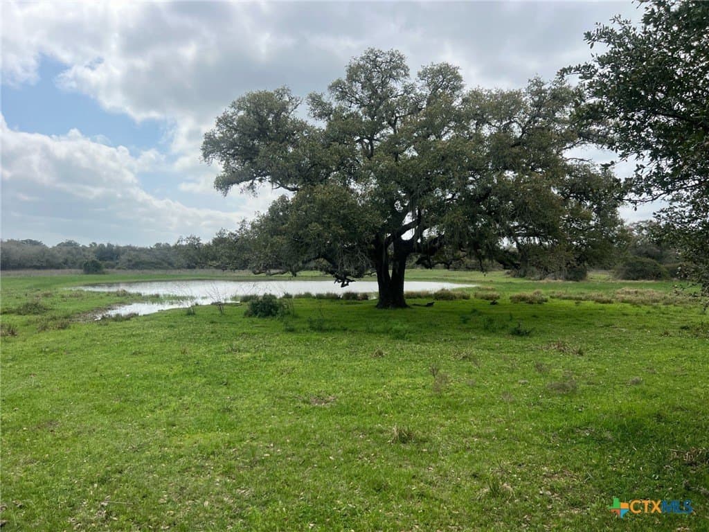 370.68 acres in Lavaca County - photo 8