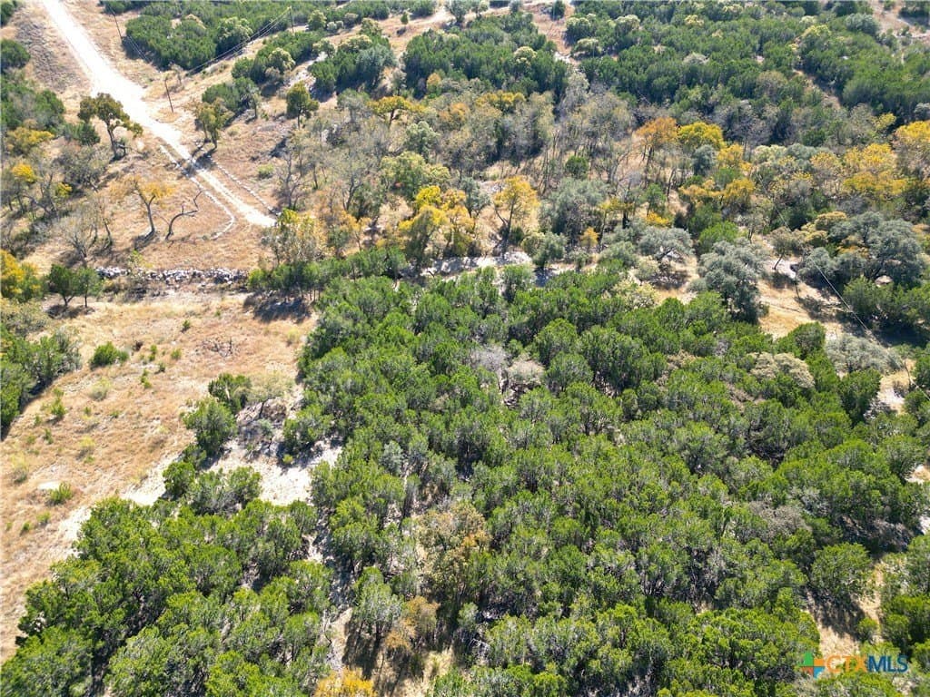 12.73 acres in Bell County - photo 7