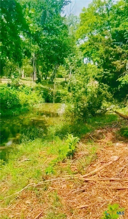 12.73 acres in Bell County - photo 10