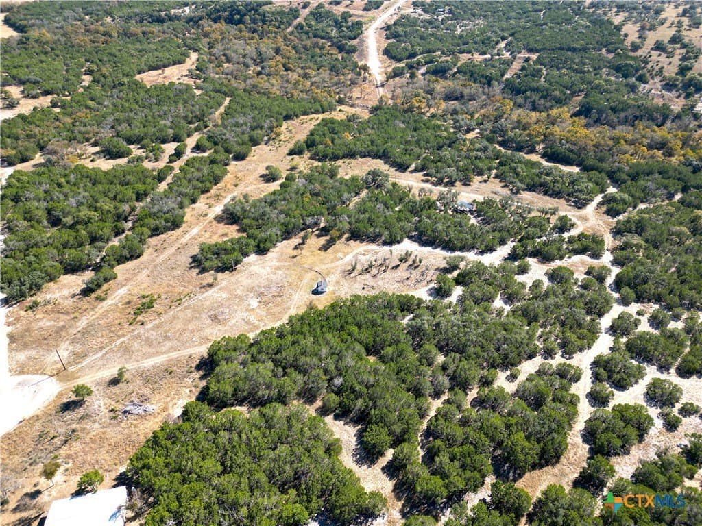 12.73 acres in Bell County - photo 4