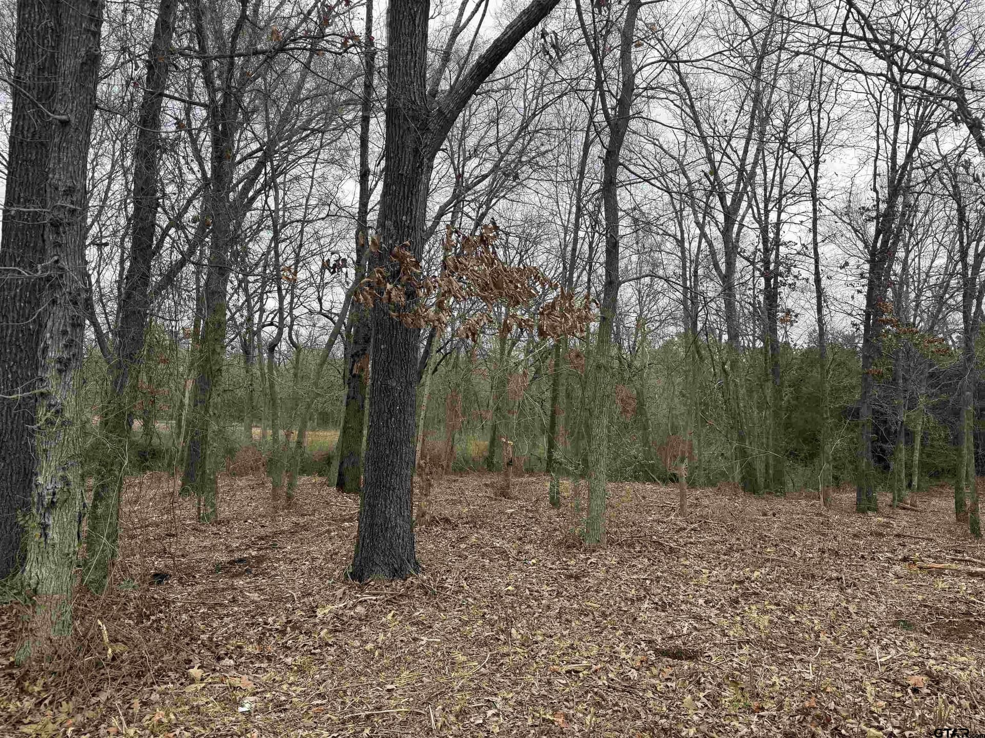 TBD Florence St. Lot 8