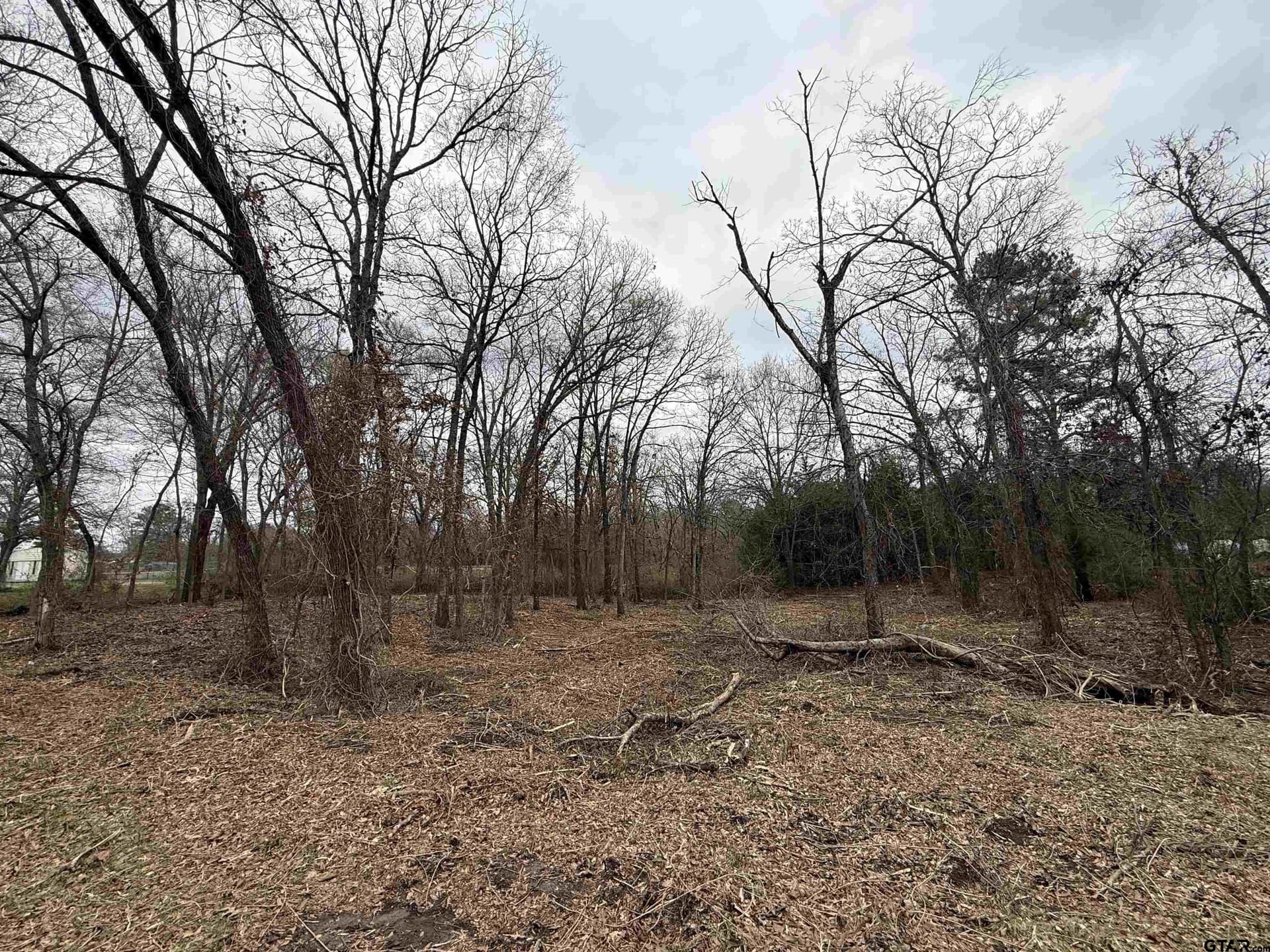 0.25 acres in Van Zandt County - photo 4