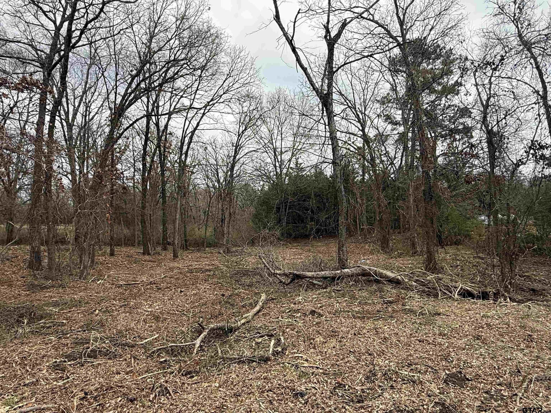 0.25 acres in Van Zandt County - photo 3