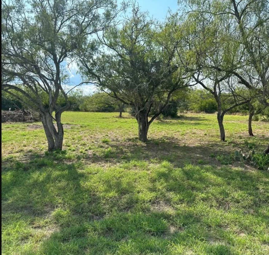 2 acres in Texas County - photo 2