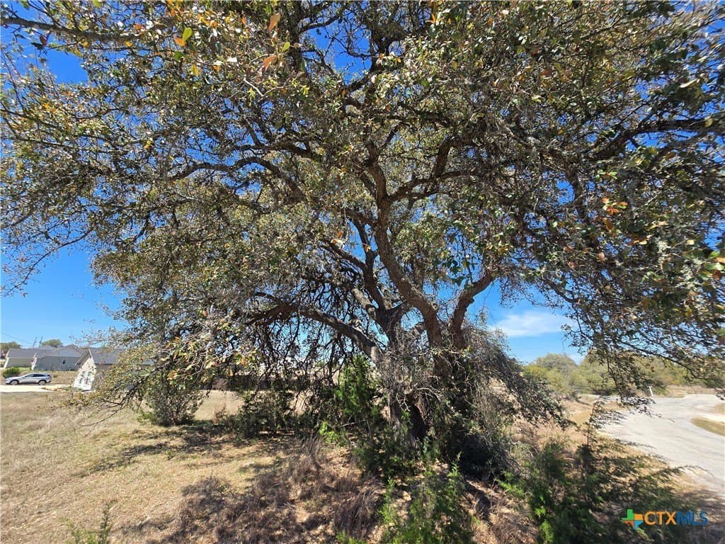 0.33 acres in Blanco County - photo 3